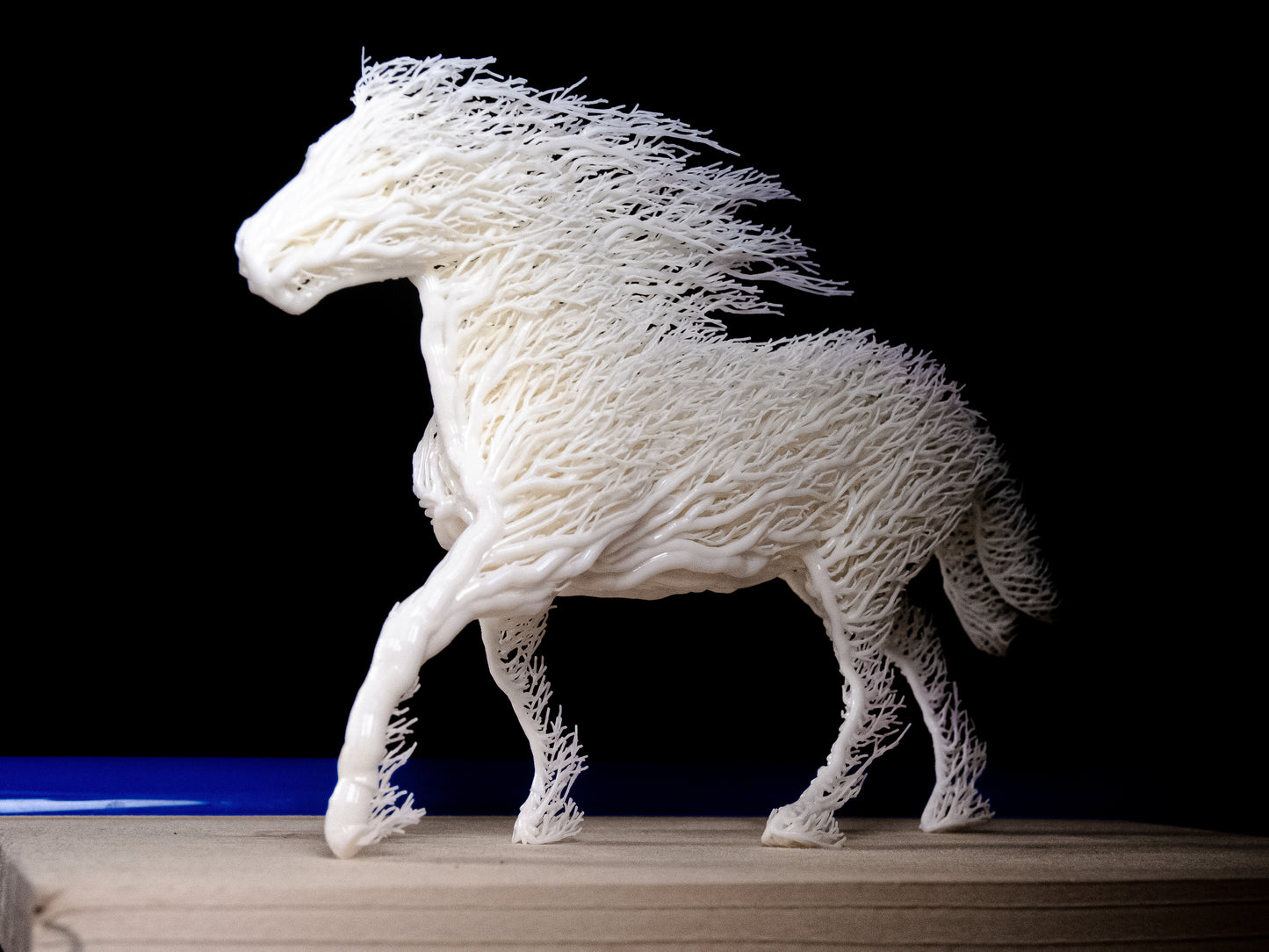 White Grown Horse
