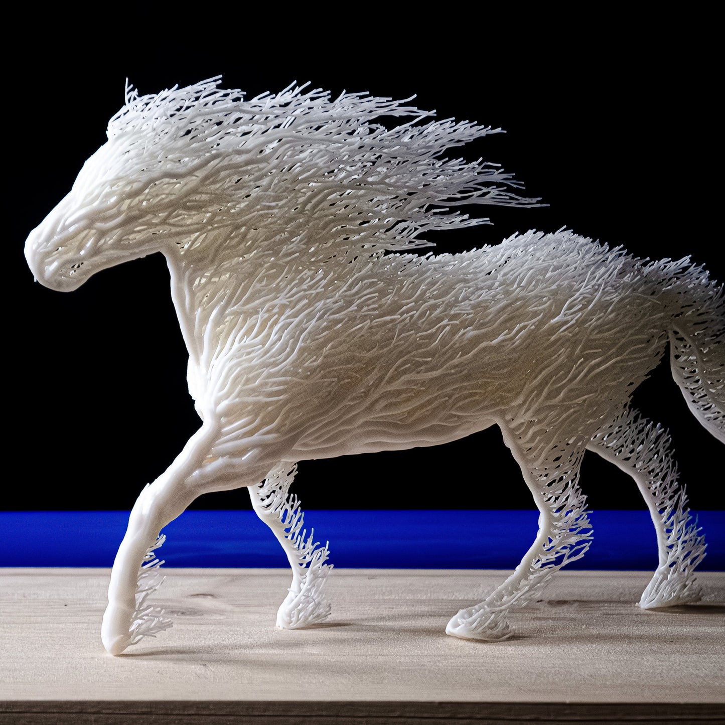 White Grown Horse