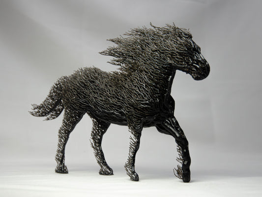 Black Grown Horse
