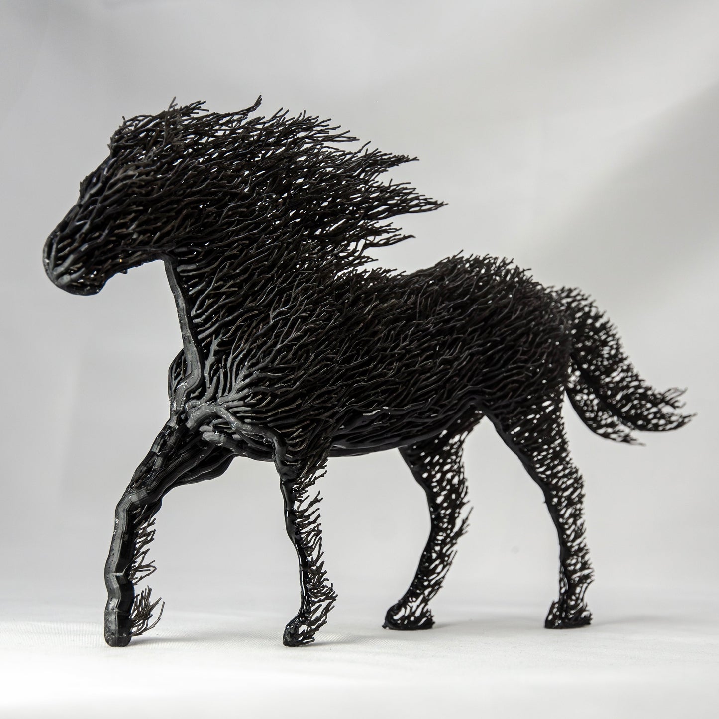 White Grown Horse
