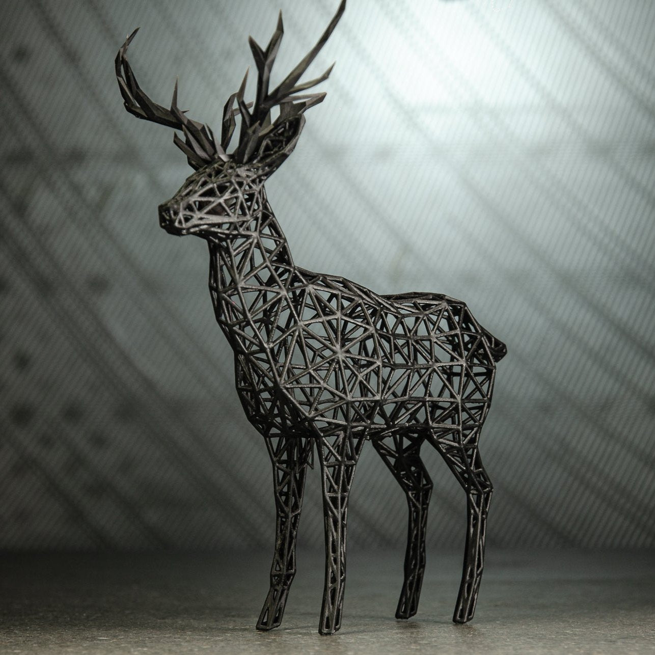 Wildlife