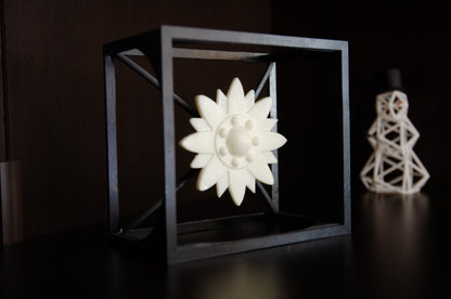 Edelweiss Cube – Unique Floating Edelweiss Flower - Wire Art Sculpture in Modern Cube Design for Rustic - Modern Home Decor