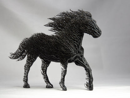Black Grown Horse