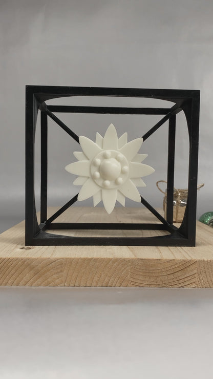 Edelweiss Cube – Unique Floating Edelweiss Flower - Wire Art Sculpture in Modern Cube Design for Rustic - Modern Home Decor