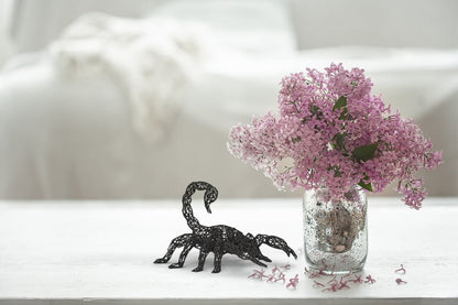 Scorpio Zodiac Decor for Astrology Enthusiasts